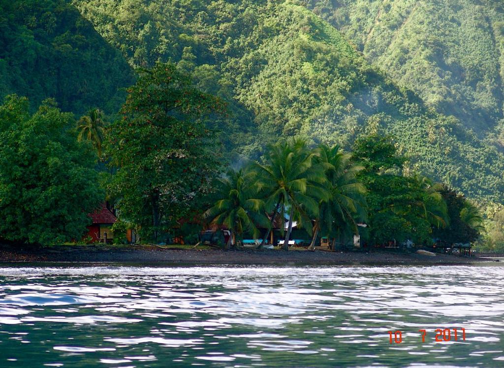 Tauhanihani Village Lodge La Vague Bleue Teahupoo Exterior foto